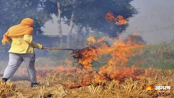 पराली नहीं जलायें: पराली से खाद बनाएं सैटेलाइट से हो रही निगरानी