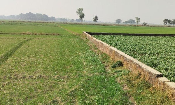 खेत को चकमार्ग बनाकर बना दिया, कर लिया लाखों का बंदरबांट