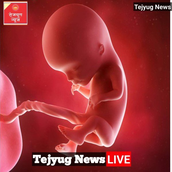 प्रेग्नेंसी के दौरान किस चीज से रहता है बच्चे को सबसे ज्यादा खतरा? जान लीजिए आप