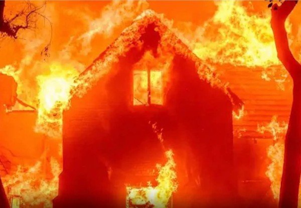 अमेरिका के सबसे अधिक आबादी वाले काउंटी, लॉस एंजिल्स के जंगलों में लगी आग