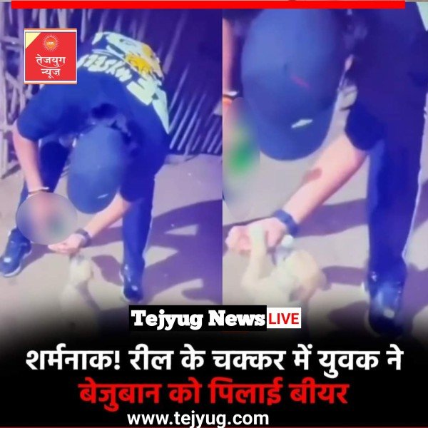 में एक शख्स रील बनाने के चक्कर में बेजुबान की जिंदगी के साथ खेलता दिखाई