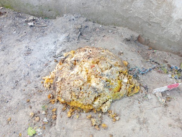 मीड डे मिल का खाना फेकने का वीडियों सोशल मीडिया पर वायरल