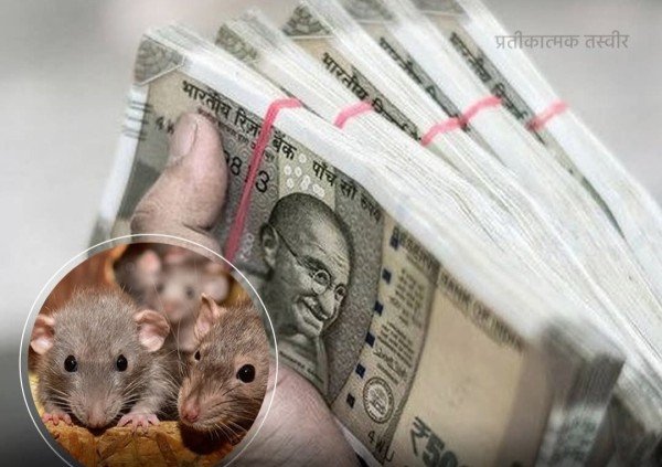 उत्तर प्रदेश के बरेली जिले में हेड कॉन्स्टेबल के खिलाफ मामला दर्ज