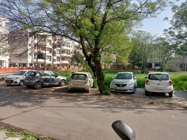 सेक्टर 49 में पेड़ गिरने से हो सकता है बड़ा हादसा प्रशासन मूक दर्शक