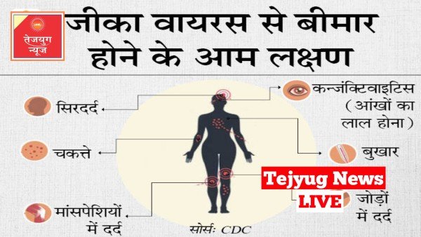 जीका वायरस क्या है? जानें किन लोगों को इस बीमारी का सबसे ज्यादा खतरा रहता है?