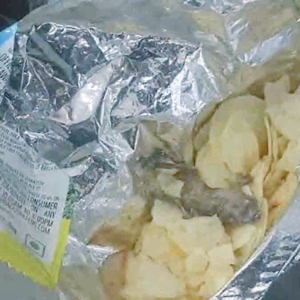 आइसक्रीम में कटी अंगुली के बाद अब चिप्स के पैकेट में निकला FRY मेंढक..