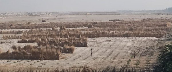 फर्जी पटटा कर देश के सबसे अमीर बने हर्रैया के दो लेखपाल