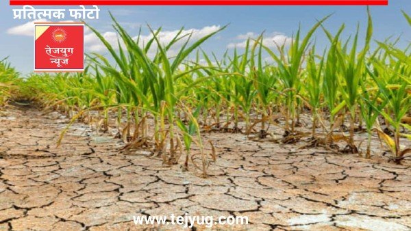 एक महीने से फूका पड़ा ट्रांसफॉर्मर, फसल सुखी किसानों मे रोष