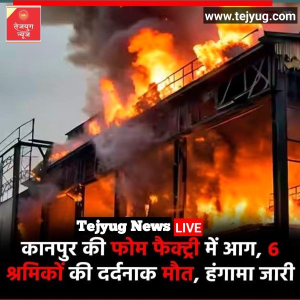 फैक्ट्री में भीषण आग लगने से छह लोगों की दर्दनाक मौत
