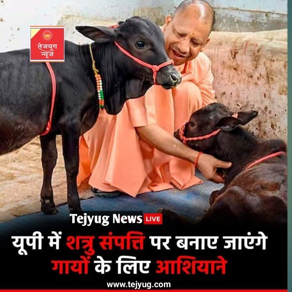प्रदेश की शत्रु संपत्तियों पर गायों के लिए नया घर बनाया जाएगा