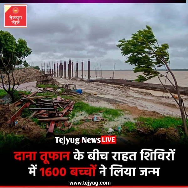 दाना तूफान ने गुरुवार (24 अक्टूबर) देर रात ओडिशा में दस्तक दी.