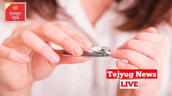 बचपन से लेकर बुढ़ापे तक, कुल इतने किलो नाखून काट चुके होते हैं आप?
