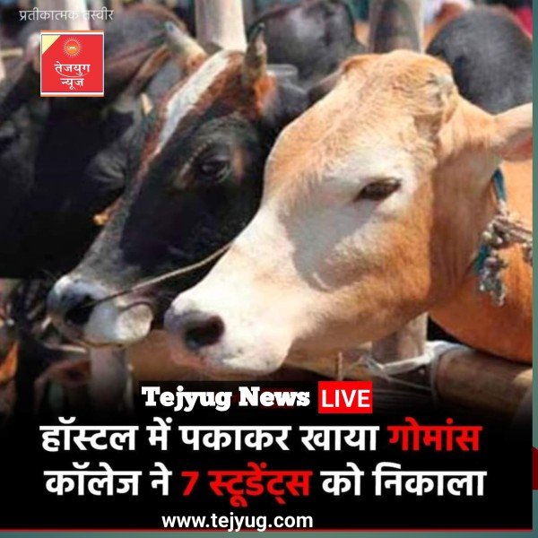 कॉलेज के सात छात्रों ने बैन होने के बावजूद भी हॉस्टल में गाय के मांस को पकाकर खाया.