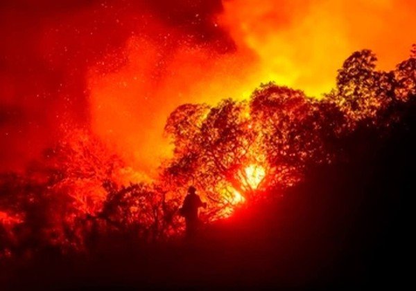 लॉस एंजिल्स के उत्तर में कास्टिक झील के पास जंगल में लगी भीषण आग