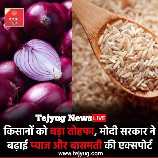 डीजीएफटी (DGFT) ने शुक्रवार को नोटिफिकेशन जारी करते हुए मिनिमम एक्सपोर्ट प्राइस हटाने का ऐलान किया