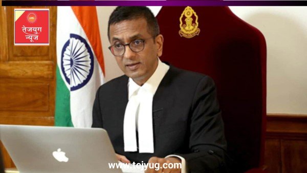 'हम तनाशाह और गैरजिम्मेदार...'