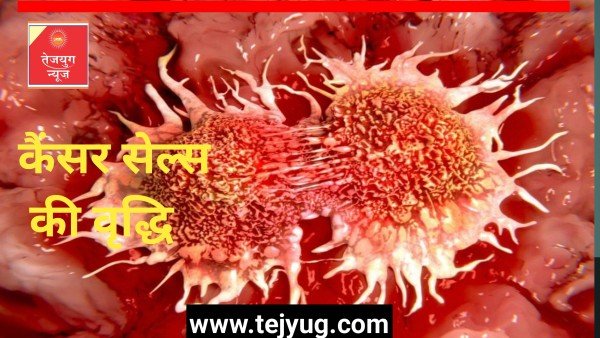 कितनी तेजी से बढ़ते हैं कैंसर सेल्स? ये होता है पूरा प्रोसेस