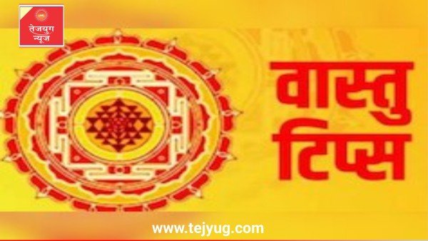 इस दिशा में रखे पेड़-पौधे बढ़ाते हैं तनाव, घर में होते हैं लड़ाई-झगड़े