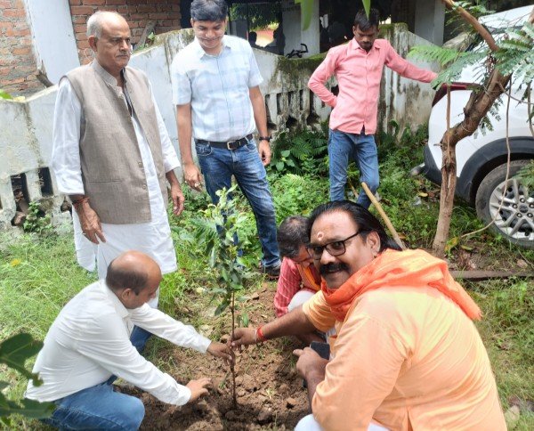 डीसीबी और डा. श्याम प्रसाद मुखर्जी में हुआ पौध रोपण