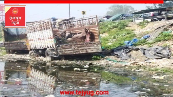 चामुंडा मंदिर के पास गंदगी जल भराव खुद कर रहा नगर पालिका की सफाई व्यवस्था को बयान