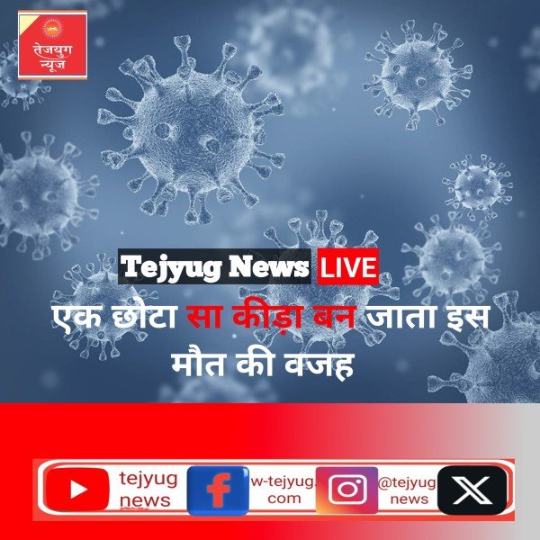 ब्लूटंग वायरस क्या है, एक छोटा सा कीड़ा बन जाता है दर्दनाक मौत की वजह