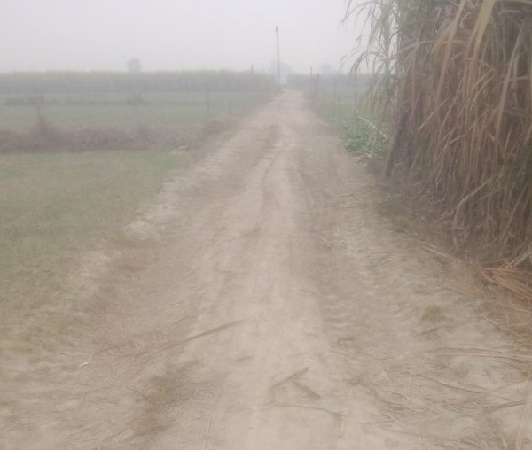 छरदही में भ्रष्टाचार का जिन्न निकलना थम नहीं रहा