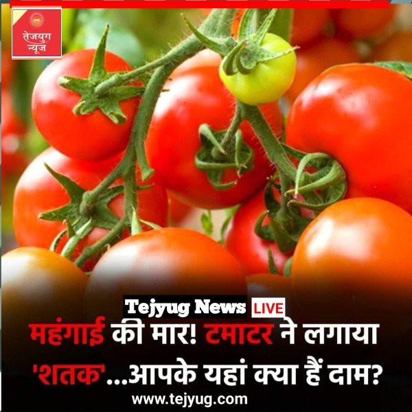 एक बार फिर टमाटर की कीमतें 100 रुपये प्रति किलो तक बढ़ गई