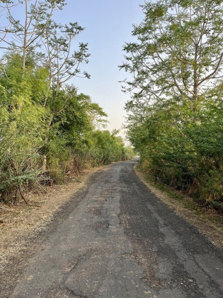 बनकटी के सूरापार में एक ही सड़क पर चार-चार बार हुआ भुगतान