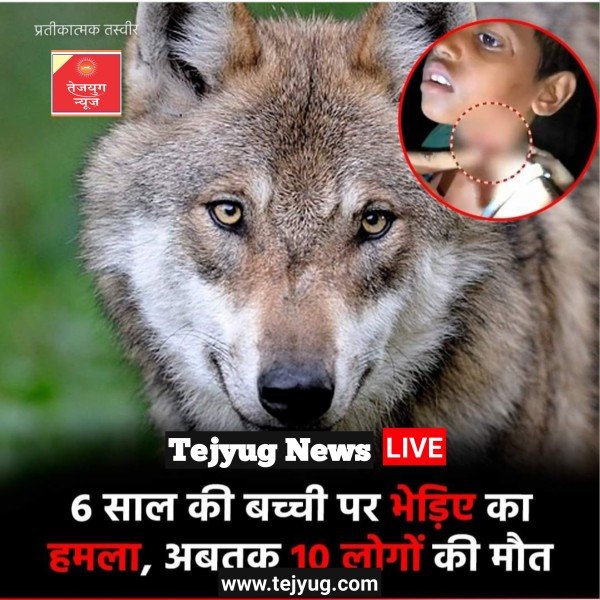 यूपी के बहराइच में आदमखोर भेड़िए का आतंक