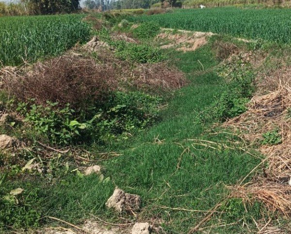 साधू संतों के प्रदेश में भ्रष्टाचार की जड़े होती जा रही मजबूत