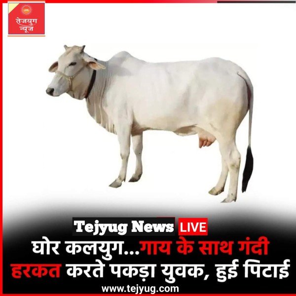 मेरठ से एक ऐसी तस्वीर सामने आई है, जिसने शर्मसार करने का काम किया